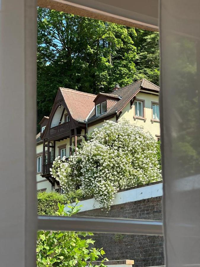 Burgfreiheit Otel Heidelberg Dış mekan fotoğraf
